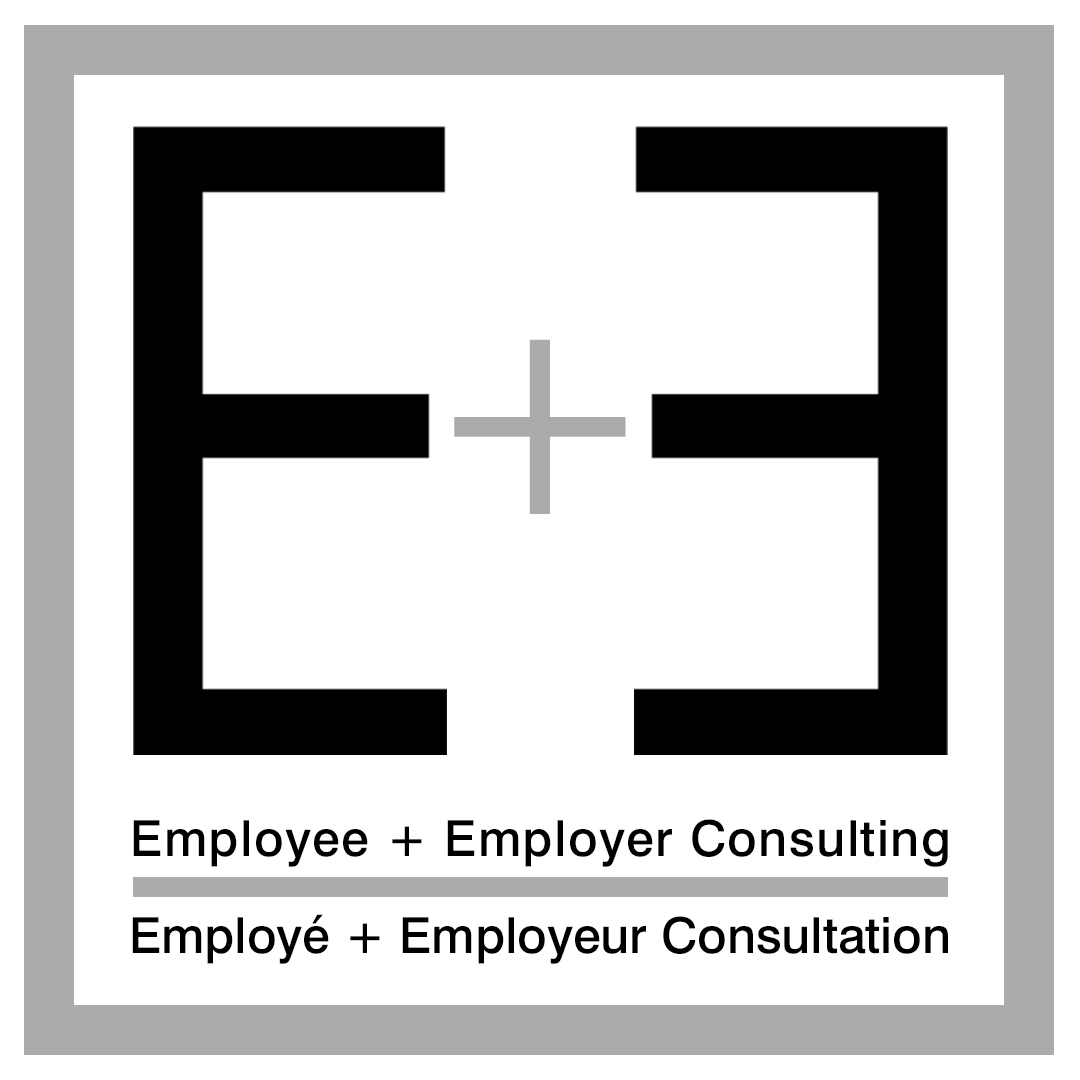 E+E Consulting logo